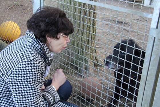 Susann Biedefeld bei ihrem kürzlichen Besuch im Tierheim Lichtenfels