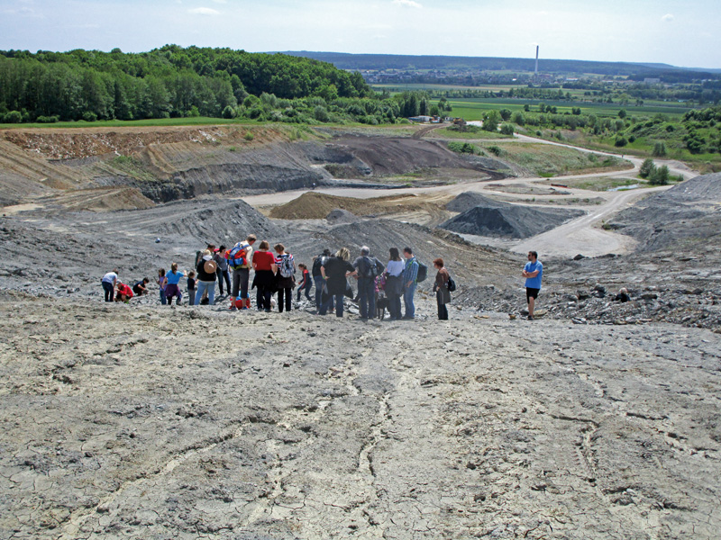 Familienwanderung Schießberg/Lias-Grube, 2015